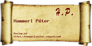 Hammerl Péter névjegykártya
